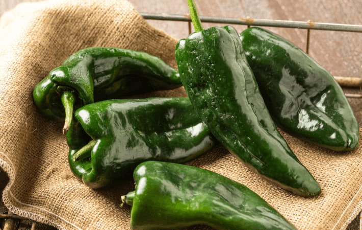 Poblano Peppers